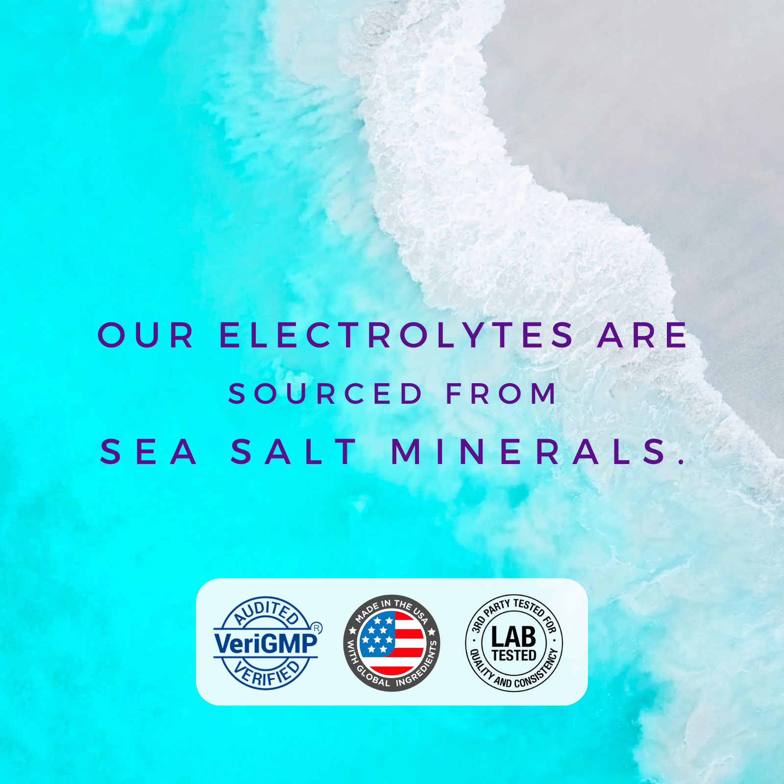 Organic Electrolyte Hydration Packs, Pina Colada, 6 each