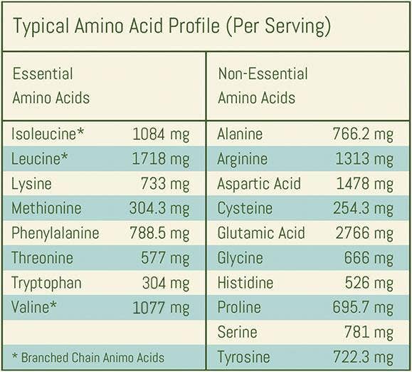 Natural Protein Blend