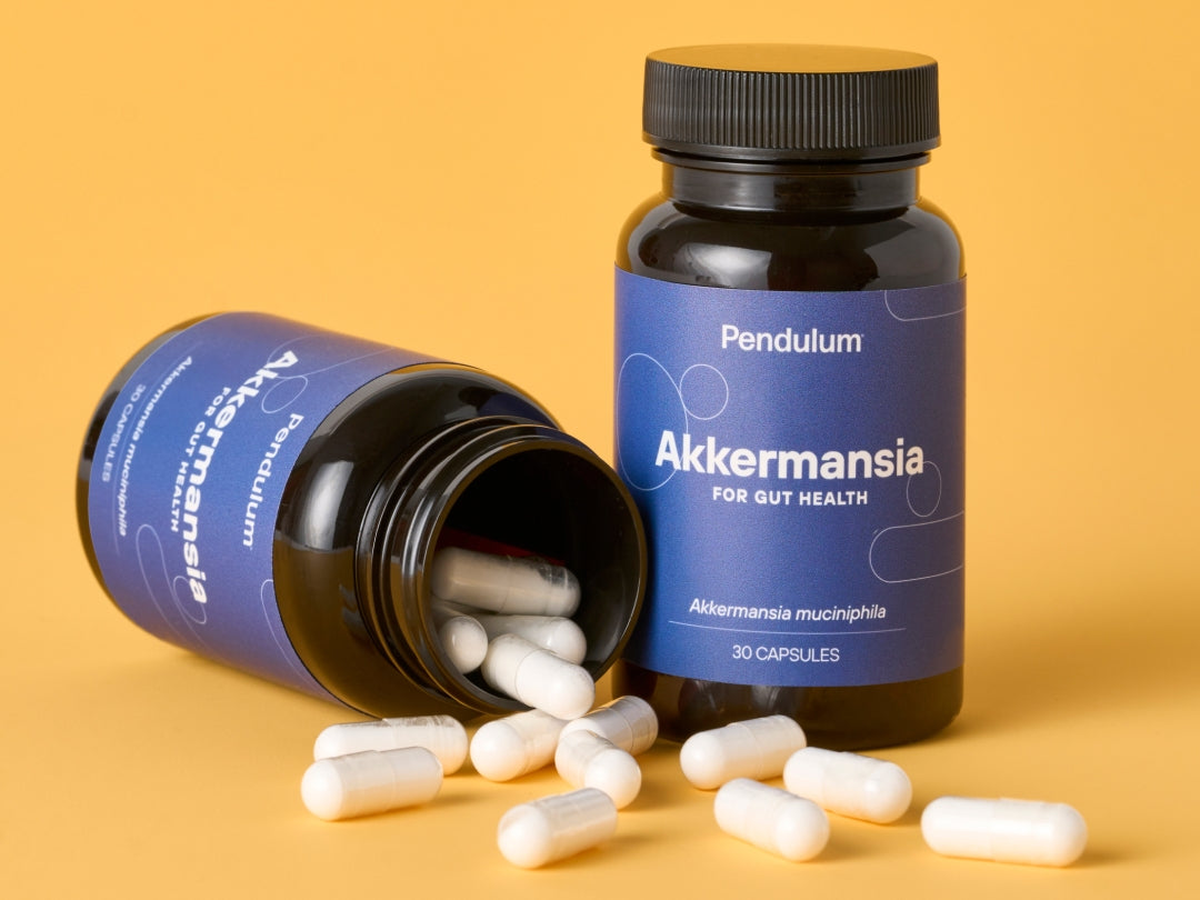Akkermansia Gut Health Probiotic