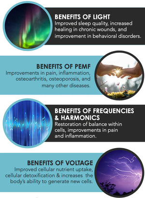 BioCharger